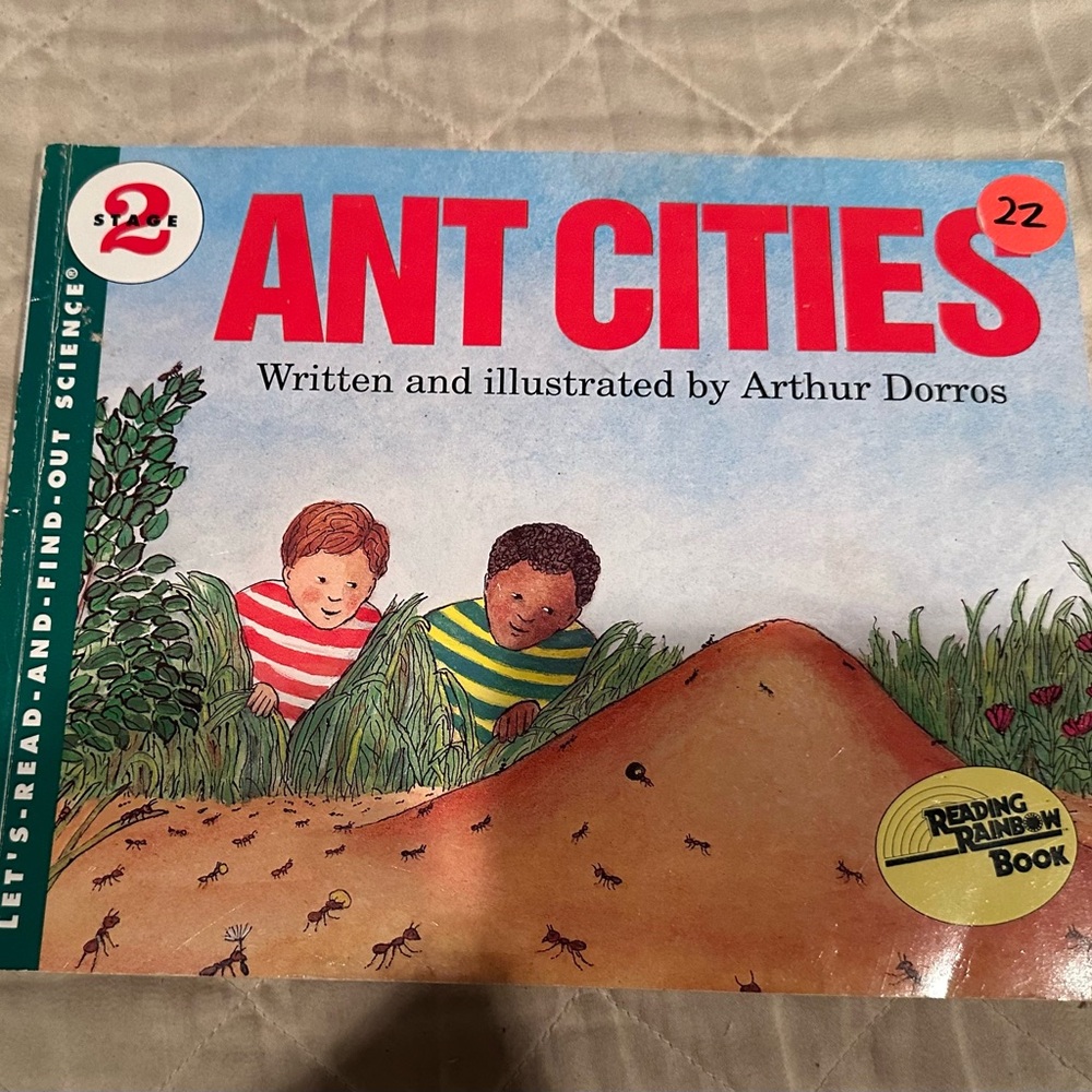 Ant Cities